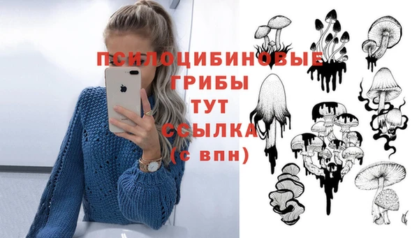 a pvp Абинск